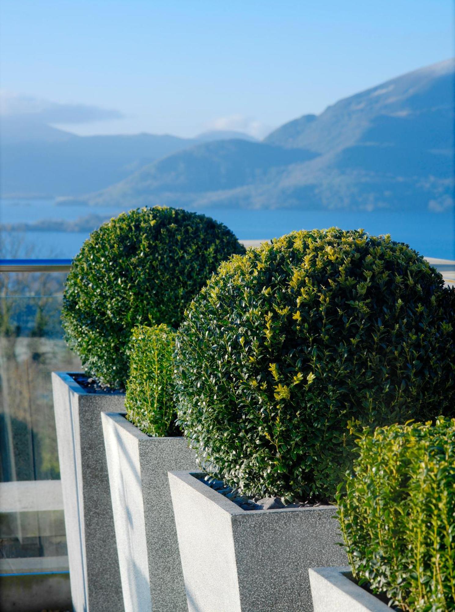 Aghadoe Heights Hotel & Spa Cill Airne Kültér fotó Boxwood